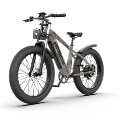 Aostirmotor  Off-road Electric Bike Hero