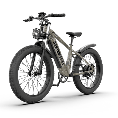 Aostirmotor  Off-road Electric Bike Hero