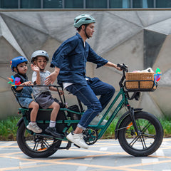 Fiido T2 Longtail Cargo E-bike 750W, 440LBS Capacity