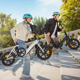 Fiido D3 Pro Mini Electric Bike 250W