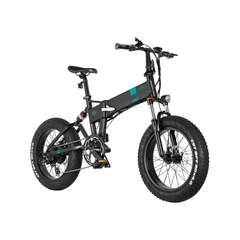 Fiido 500W M21 Fat Tire Electric Bike with Torque Sensor