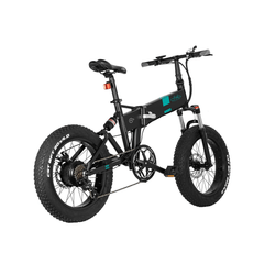 Fiido 500W M21 Fat Tire Electric Bike with Torque Sensor