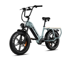 Rattan Quercus Fat Tire 750W 48V Cargo Electric Bike