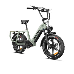 Rattan Quercus Fat Tire 750W 48V Cargo Electric Bike