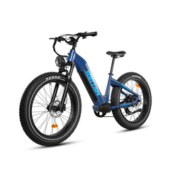 Rattan Sequoia Fat Tire 750W 48V Electric Bike