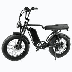 NAKTO Fat Tire Ebike F2