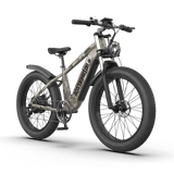 Aostirmotor  Off-road Electric Bike Hero