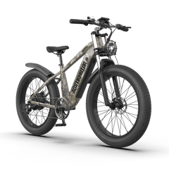 Aostirmotor  Off-road Electric Bike Hero