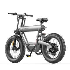 COSWHEEL T20 Electric Bike (500W 20Ah)