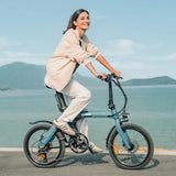 Fiido 250W D11 Folding Commuter Electric Bike