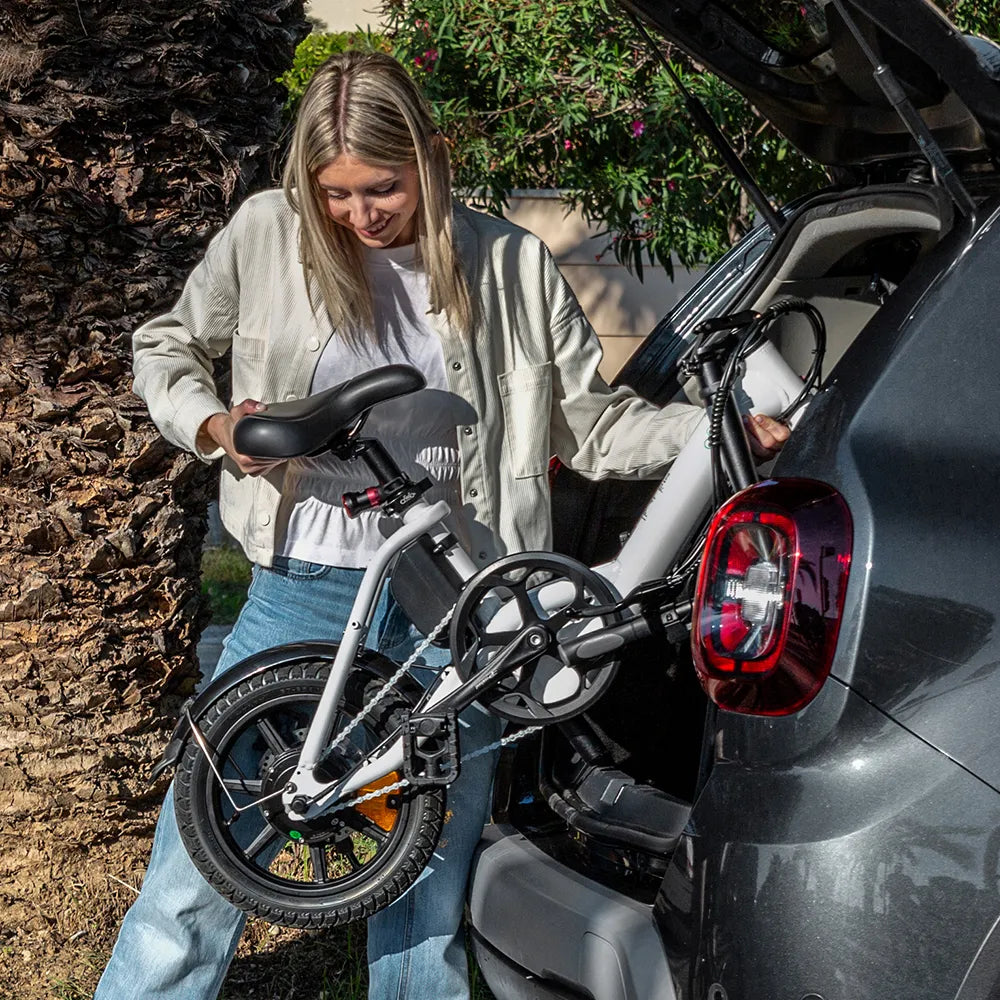 Fiido D3 Pro Mini Electric Bike 250W