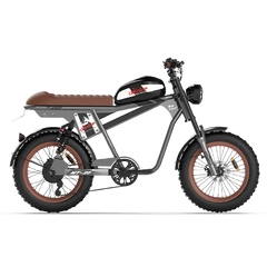 Vtuvia Tiger Plus Electric Bike