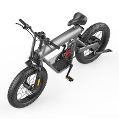 COSWHEEL T20 Electric Bike (500W 20Ah)