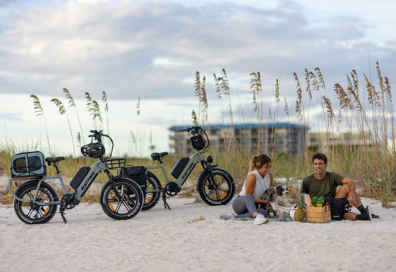 Rattan Quercus Fat Tire 750W 48V Cargo Electric Bike