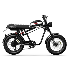 Vtuvia Tiger Plus Electric Bike