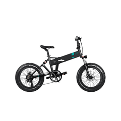 Fiido 500W M21 Fat Tire Electric Bike with Torque Sensor