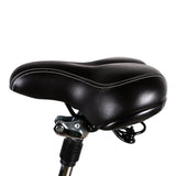 NAKTO Camel Electric Bike