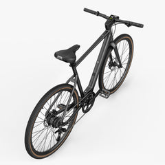 Fiido C21 gravel & city e-bike