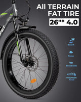 Mukkpet Suburban 750W Fat Tire Electric Bike