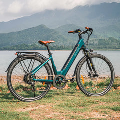 Fiido C11 Pro City E-bike