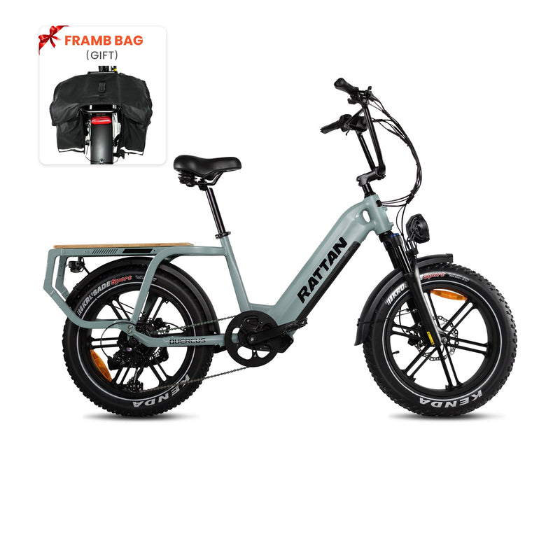 Rattan Quercus Fat Tire 750W 48V Cargo Electric Bike