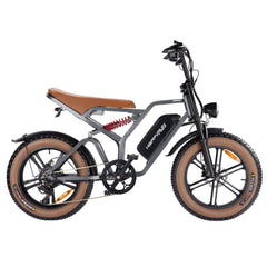 Happyrun Tank G60 750W Electric Bike Fat Tire Dirt All Terrain