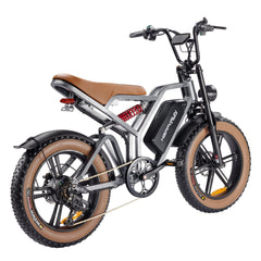 Happyrun Tank G60 750W Electric Bike Fat Tire Dirt All Terrain