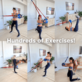 The Abs Company The Ab Ball™ System