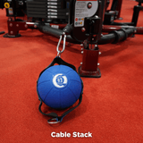 The Abs Company The Ab Ball™ System
