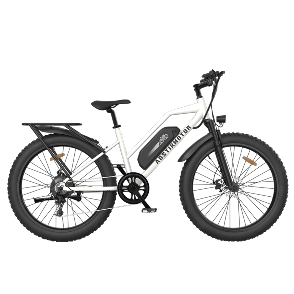 Aostirmotor S07-G Unisex Fat Tire 750W 48V City Commuter Electric Bike
