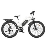 Aostirmotor S07-G Unisex Fat Tire 750W 48V City Commuter Electric Bike