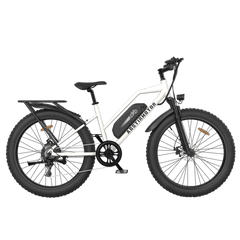 Aostirmotor S07-G Unisex Fat Tire 750W 48V City Commuter Electric Bike