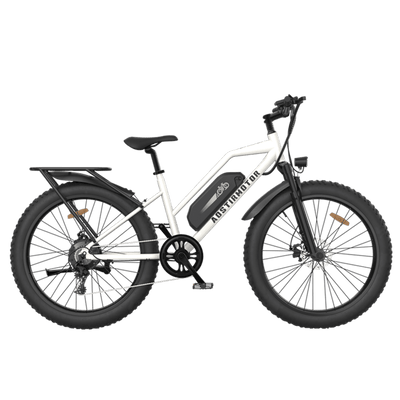 Aostirmotor S07-G Unisex Fat Tire 750W 48V City Commuter Electric Bike