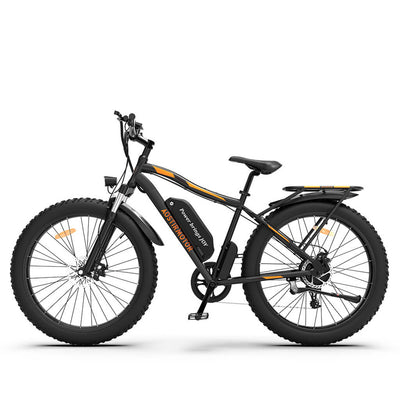 Aostirmotor S07-B Fat Tire Mountain Electric Bike 750W 48V - Black