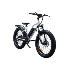 Aostirmotor S07-G Unisex Fat Tire 750W 48V City Commuter Electric Bike