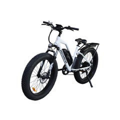 Aostirmotor S07-G Unisex Fat Tire 750W 48V City Commuter Electric Bike