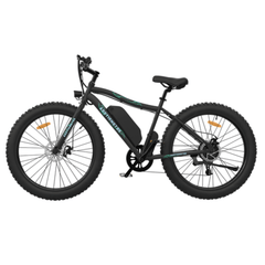 Aostirmotor S07-P 500W 36V Fat Tire Electric Mountain Bike