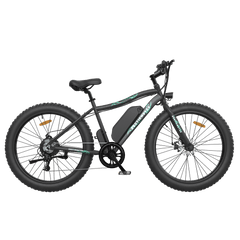 Aostirmotor S07-P 500W 36V Fat Tire Electric Mountain Bike