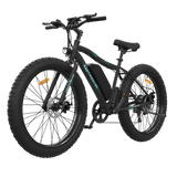 Aostirmotor S07-P 500W 36V Fat Tire Electric Mountain Bike