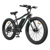 Aostirmotor S07-P 500W 36V Fat Tire Electric Mountain Bike