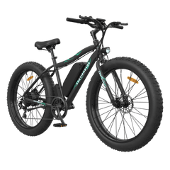 Aostirmotor S07-P 500W 36V Fat Tire Electric Mountain Bike