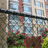 Aleko Galvanized Steel Chain Link Fence Kit – 4x50 ft. – 7 Gauge – Black