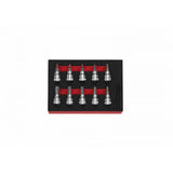 Boxo 10-Piece 3/8" Drive Standard Length Torx Bit Socket Set | 1/9th EVA Foam