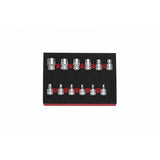 Boxo 12-Piece 3/8" Dr Torx Chrome Socket Set | 1/9th EVA Foam