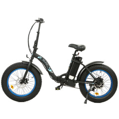 UL Certified-Ecotric 20inch Black Portable And Folding Fat Bike Model Dolphin