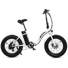 UL Certified-Ecotric 20inch White Portable And Folding Fat Bike Model Dolphin