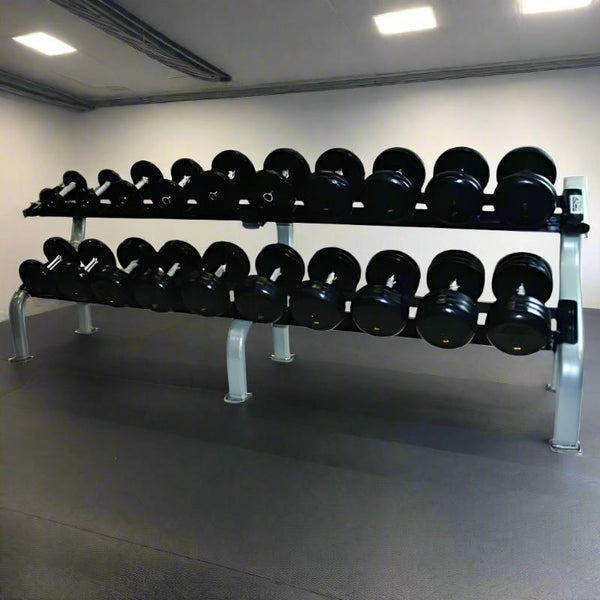 TROY COMMPAC-RUFDR100 Pro-Style Dumbbell Set with Saddle Rack ...