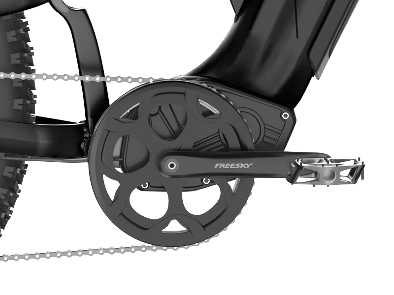 Freesky Crank Set