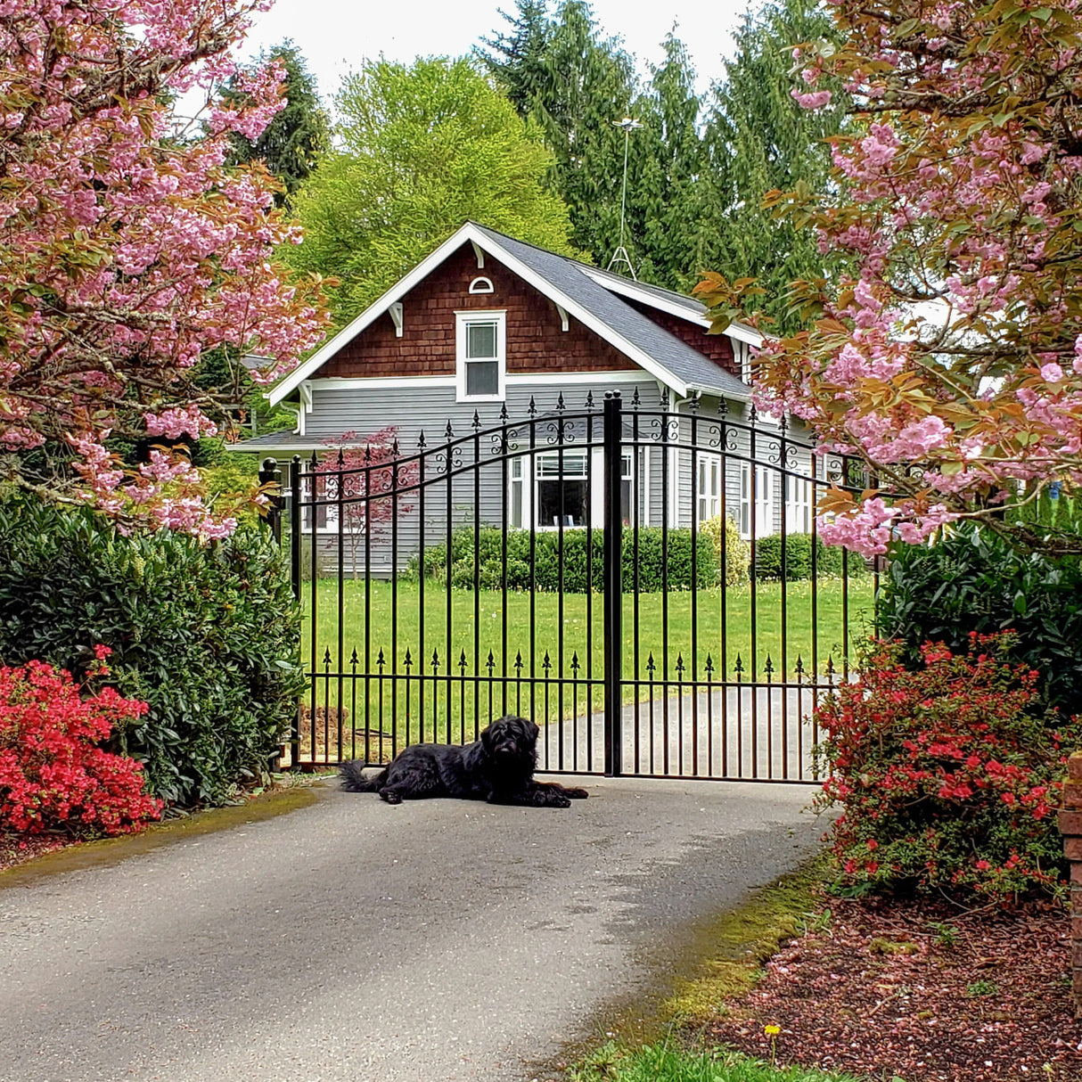 Aleko Steel Dual Swing Driveway Gate - ST.LOUIS Style - 18 x 6 Feet
