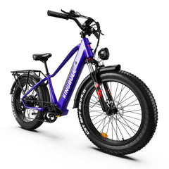 2024 KingBull DISCOVER 750W 48V Fat Tire Suspension Electric Bike